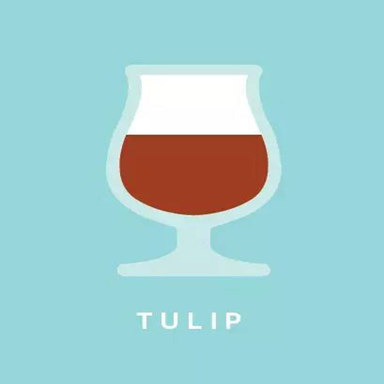 el séptimo vaso de cerveza: copa de tulipán abierta